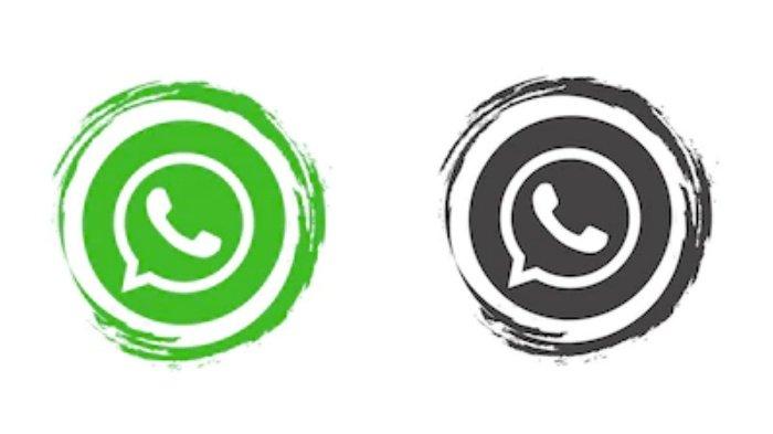 Cara sadap whatsapp hanya dengan nomor wa