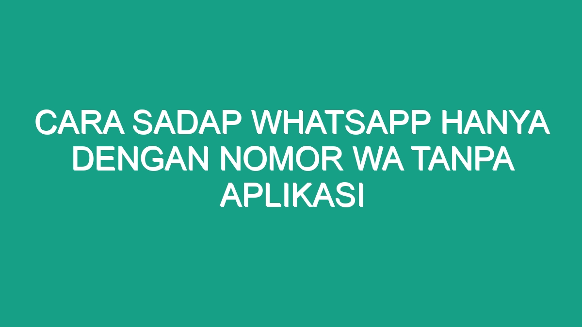 Cara sadap whatsapp hanya dengan nomor wa